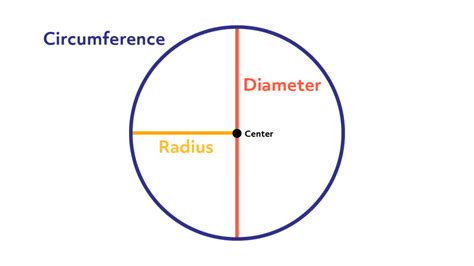 Radius And Diameter Of A Circle