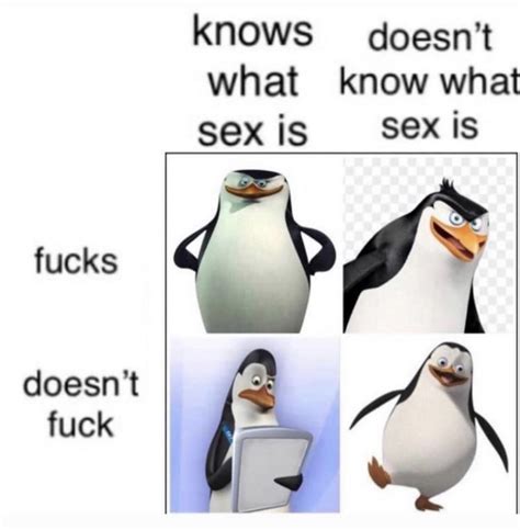 Knows What Sex Is Doesn T Know What Sex Is Penguins Of Madagascar Know Your Meme