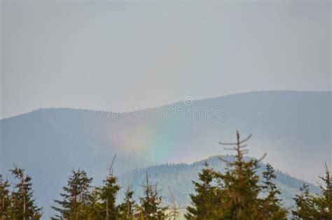 Rainbow Landscape Pine Forest With Mountains Stock Image Image Of