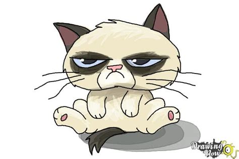 How To Draw Chibi Grumpy Cat Drawingnow