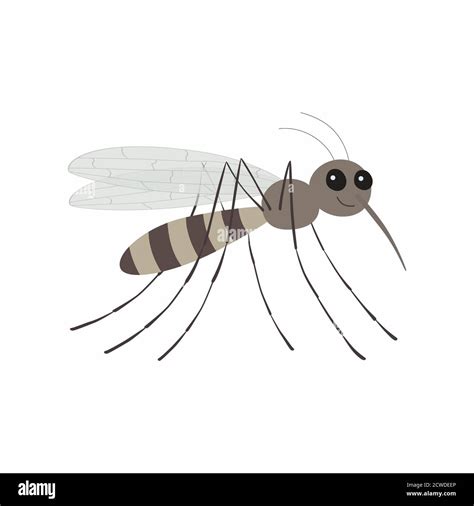 Cartoon Mosquito Character Vector Illustration Isolated Eps10 Stock