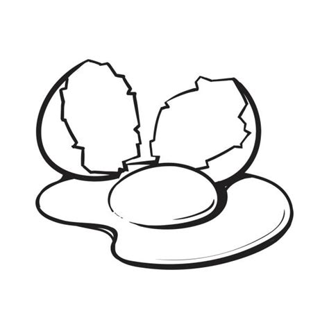 Egg Cracked Coloring Colouring Pages Printable Kids Clipart Turtle Clip