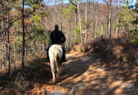 Sevierville Tennessee Gatlinburg Tn Mountain Park Horseback Riding