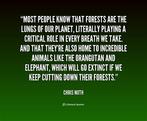 Quotes About Forest Animals Quotesgram