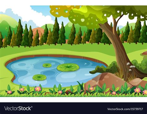 Scene With Pond In The Field Vector Image On Vectorstock Pond
