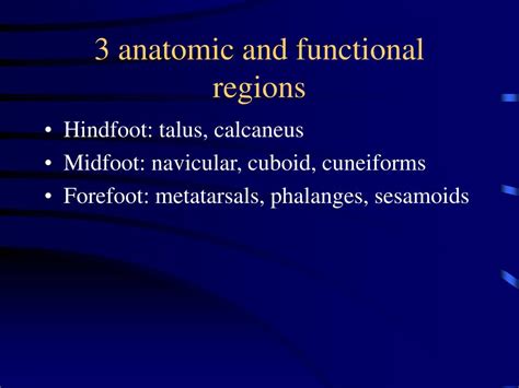 Ppt Radiology Of The Foot Powerpoint Presentation Free Download Id