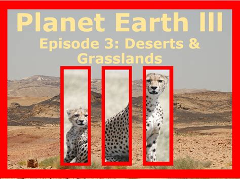 Planet Earth 3 Deserts And Grasslands Teaching Resources