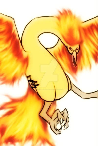 Moltres By Ellymccarthy07 On Deviantart