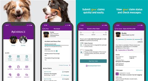 Embrace Pet Insurance Review: One Of The Best? in 2020 ...
