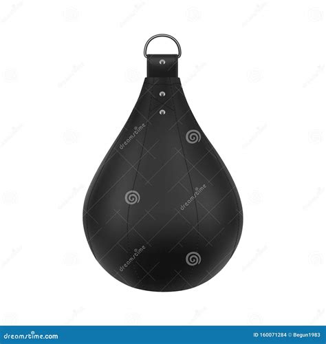 Boxing Punching Bag In The Vectorpunching Bag For Speed Vector