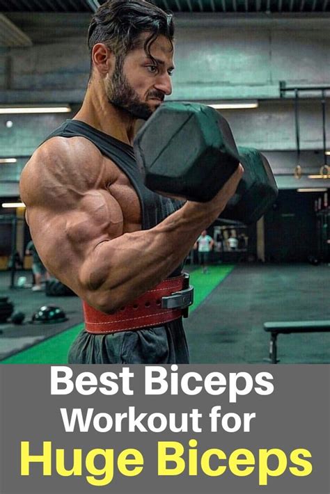 Biceps Exercise For Men Gym Biceps Workout Biceps Best Biceps