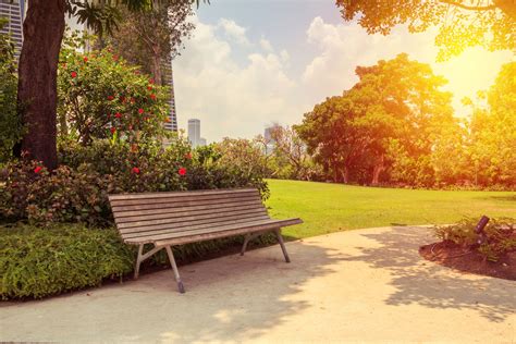 Study Examines How Green Space Can Reduce Violent Crime Mirage News