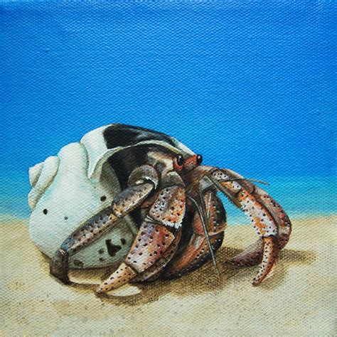 Hermit Crab Painting By Cindy D Chinn