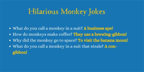 192 Of The Funniest Monkey Jokes Of All Time