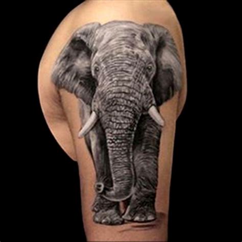 Realistic Elephant Tattoo Done In Black And Grey By Brandon Marques