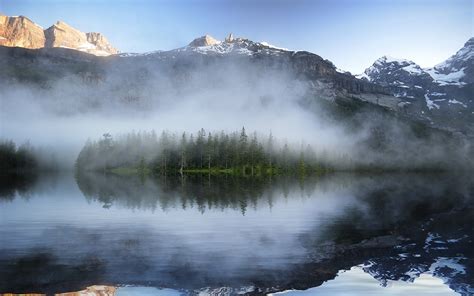 Nature Landscape Mountains Trees Mist Forest Stars Field Snowy Peak