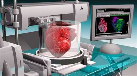 The Future Of 3d Printing Replication Of Human Organs ⋆ The Costa Rica