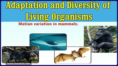 Science Diversity And Adaptation In Living Organisms Adaptation And