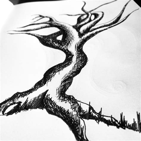 Twisted Tree Sketch At Explore Collection Of