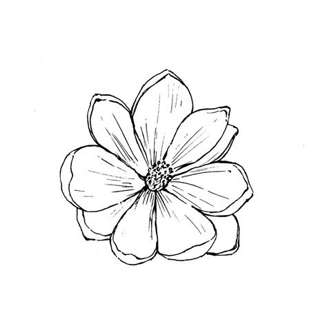Not A Bad Magnolia Option Flower Outline Tattoo Simple Flower