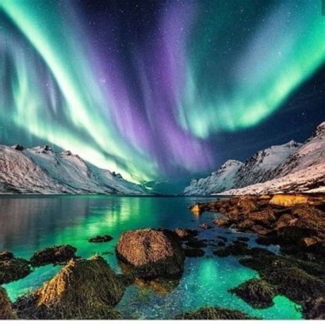 Descubre La Magia De La Aurora Boreal En Noruega ️ Directorio Online ️