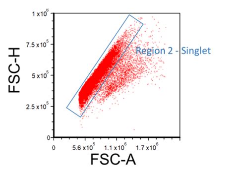 Considerations For Flow Cytometry Gating Facs Analysis Stemcell