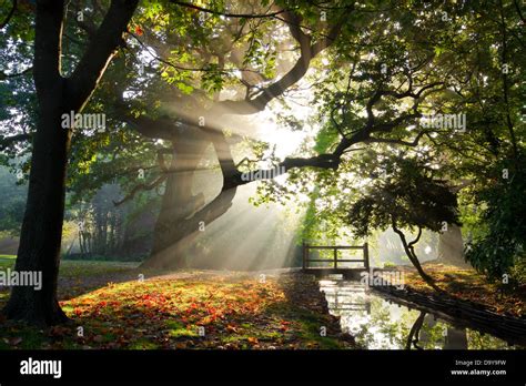 Crepuscular Ray Of Light Hi Res Stock Photography And Images Alamy
