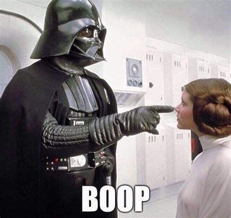 Dearth Vader Princess Leia Boop Star Wars Humor Star Wars Geek Star Wars Pictures