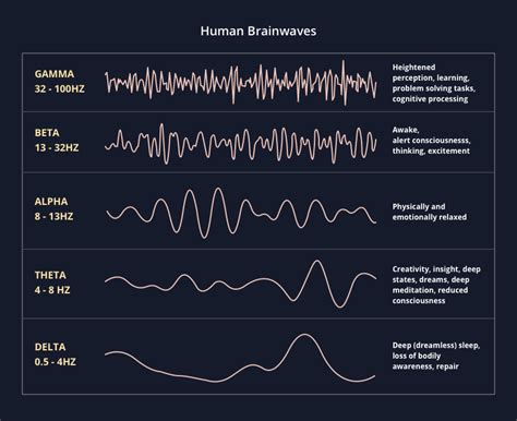 What Are Delta Waves The Science Of Regenerative Sleep