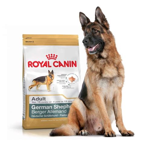 2.2 eukanuba breed specific german shepherd dry dog food. Buy Royal Canin German Shepherd Adult Dry Dog Food 3 Kg ...