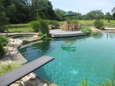 What Are The Dangers Of Backyard Ponds Or Pools Follow These Safety Tips Reflections Water