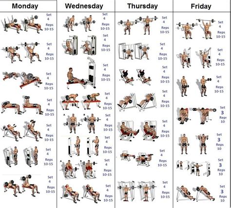 A Simple And Effective Muscle Building Schedule Bodybuilding Training