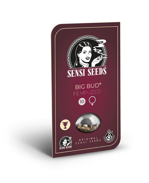 Big Bud Feminizada Sementes De Canábis Sensi Seeds