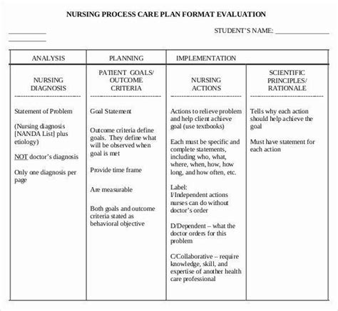 20 Blank Nursing Care Plan Template