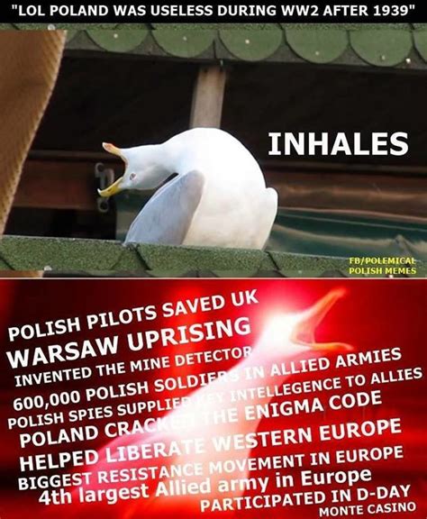 Find and save poland memes | poland really came through hard times. Slav memes: Polan edition