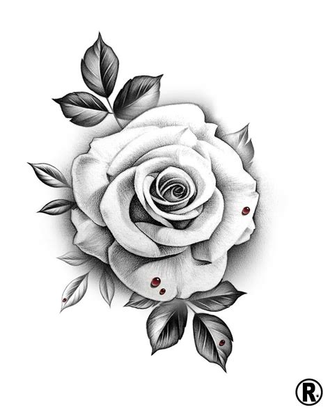 A Imagem Pode Conter Flor E Planta 336081190943580322 Rose Drawing