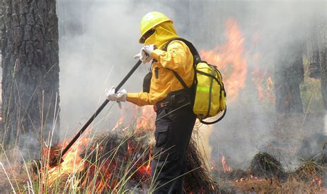 Incendios Forestales Comisión Nacional Forestal Gobierno Gobmx