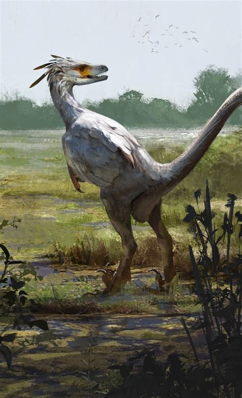 Saurornitholestes Package Art By Jonathan Kuo Prehistoric Wildlife