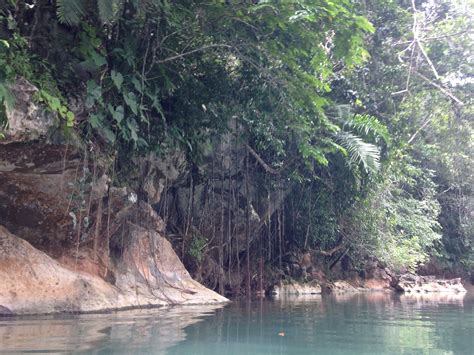 Cave Tubing In Belize Learn About The Tropical Forest While Hiking To
