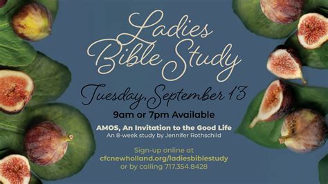 Ladies Bible Study Amos An Invitation To The Good Life Christian