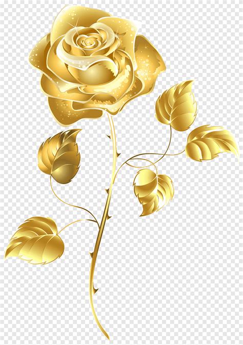 Gold Rose Illustration Rose Gold Gold Roses S Flower Arranging Gold