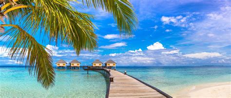 Water Villas Bungalows In The Maldives Stock Photo Image Of
