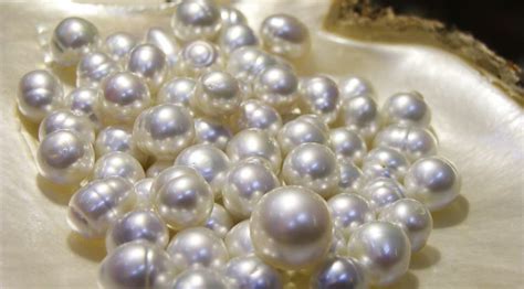 Pin by Element Jewellery on Pearls | Pearls, South sea pearls