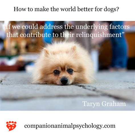 Companion Animal Psychology News August 2018