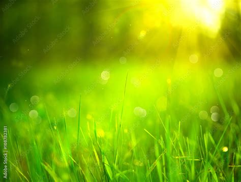 Nature Blurred Background Green Grass In Spring Park With Sun Flares