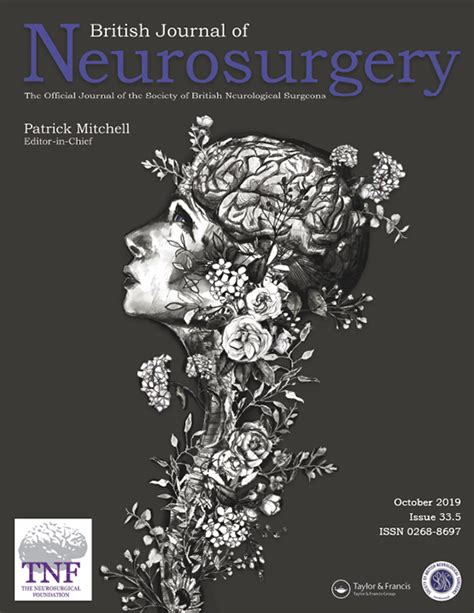 British Journal Of Neurosurgery Vol 33 No 5