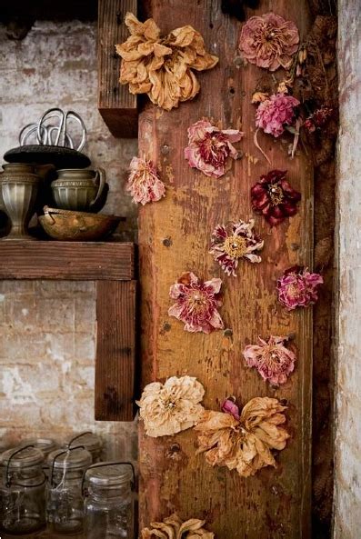 If you'd like to learn more about a particular seller, check their feedback profile to see how others have. amy merrick's studio (With images) | Dried flowers ...