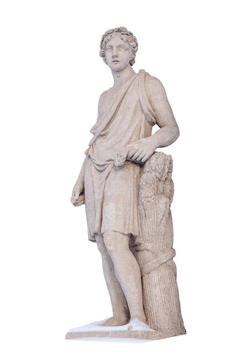 The Story Of Adonis Greek Mythologys Handsome Mortal Symbol Sage