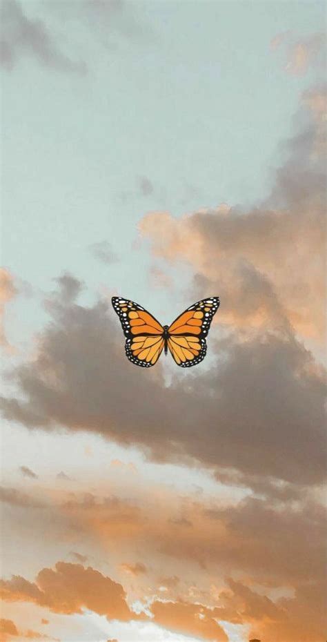 Effdeesea ♡ Butterfly Wallpaper Iphone Iphone Wallpaper Butterfly