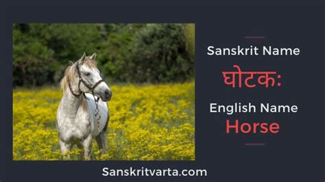 If that were so there are many writers who have enriched sanskrit by their writings.if the question could be rephrased as name a few sanskrit dramatists may be kalidas is an answer. All Animals Name In Sanskrit - Wild Domestic Pet And Water ...